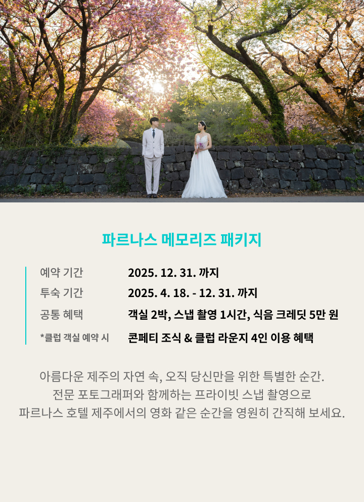 파르나스 메모리즈 패키지