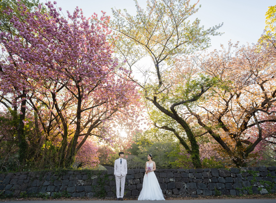 Parnas Memories Package