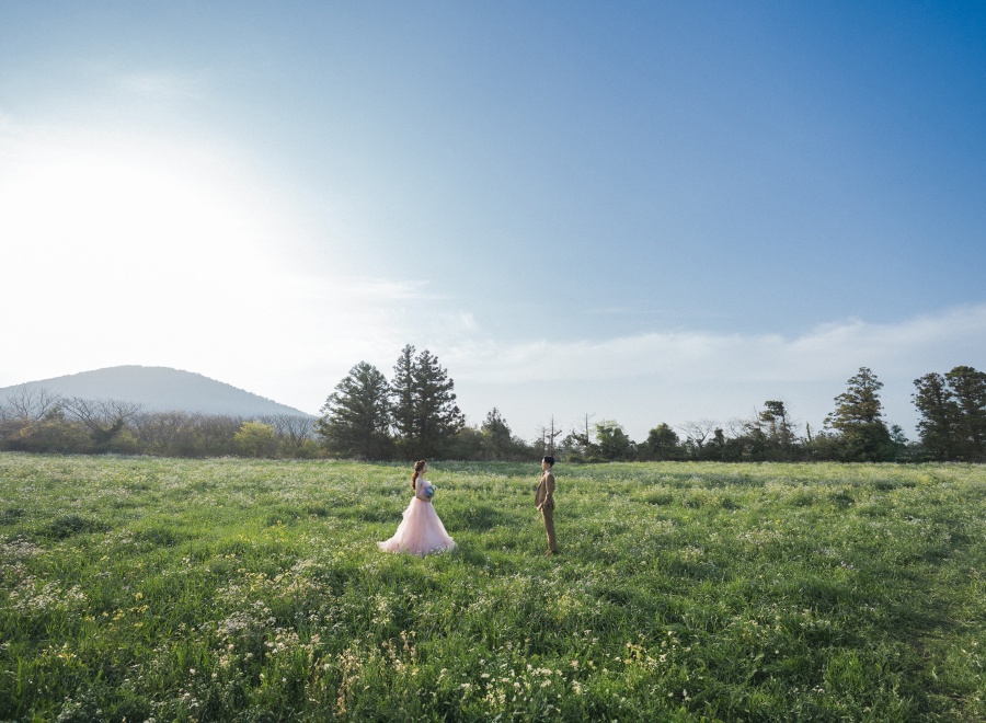 파르나스 메모리즈 패키지