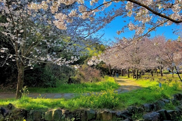 Travel with Concierge 