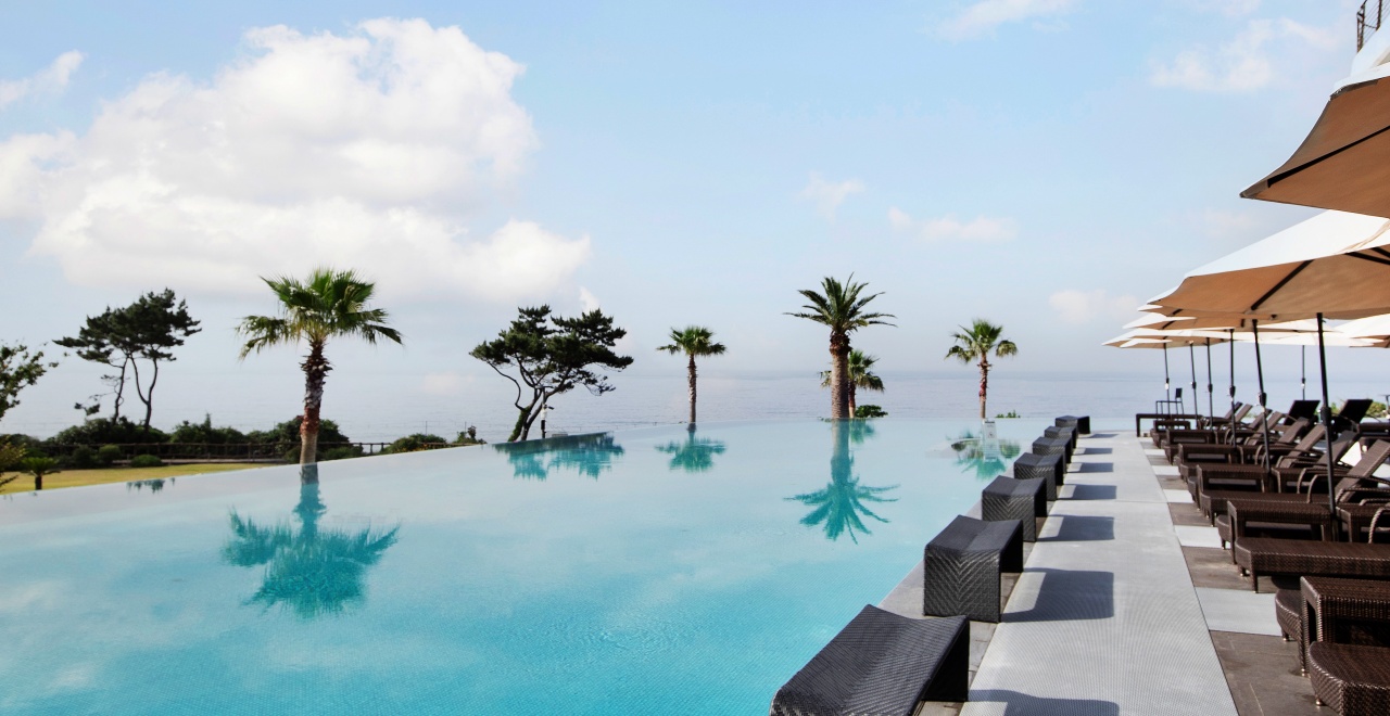 백 투 더 풀사이드 