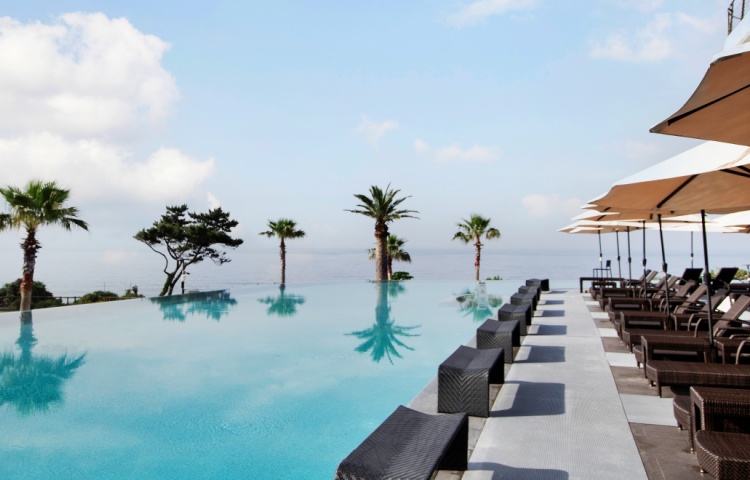 백 투 더 풀사이드 