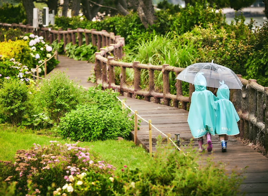 Happy Parnas Day in Jeju Package